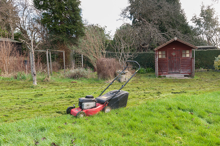 Lawn mower on the lawn