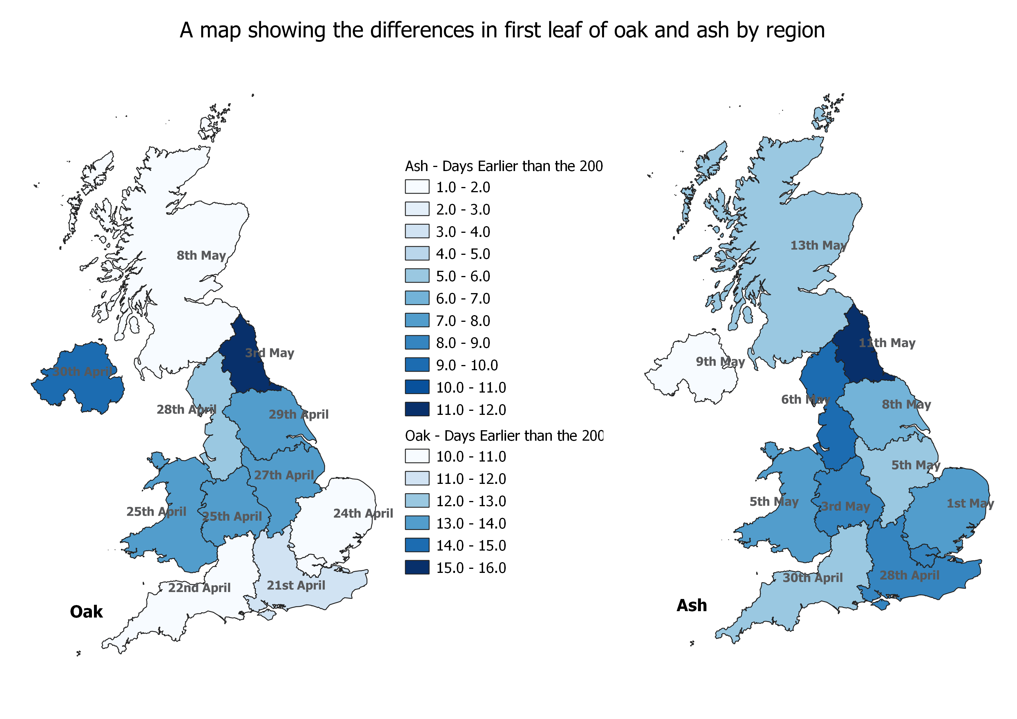Map of first leaf of oak and ash by region